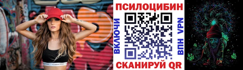 Галлюциногенные грибы прущие грибы  как найти   Судак 